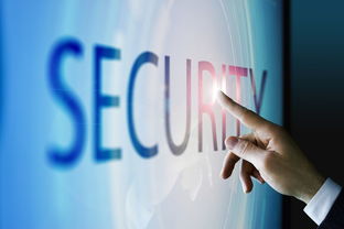 國(guó)際貿(mào)易與電子商務(wù) 區(qū)別、聯(lián)系與融合