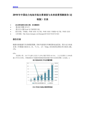 2019年中國動(dòng)力電池市場(chǎng)全景調(diào)查與未來前景預(yù)測(cè)報(bào)告(定制版)目錄